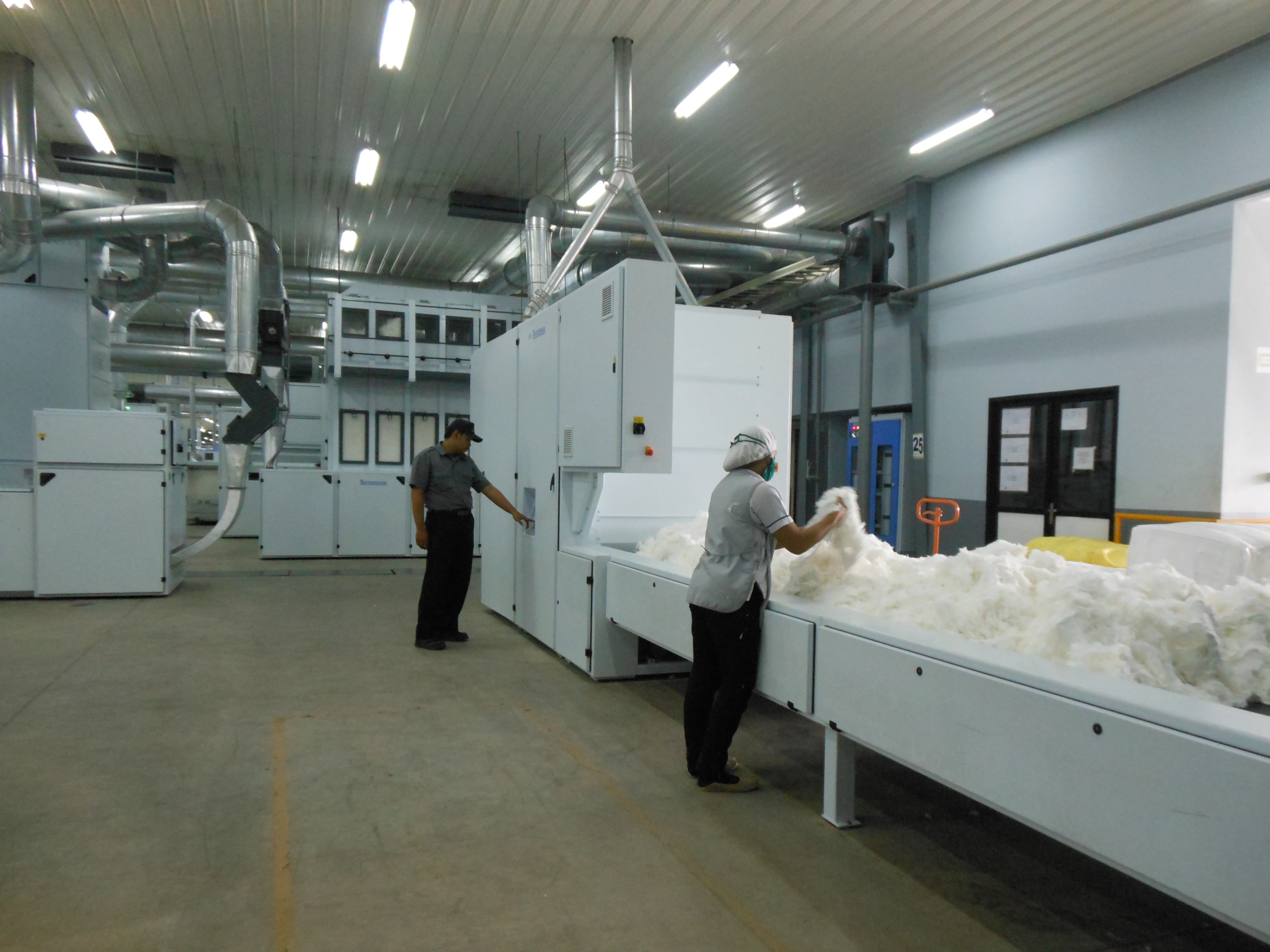 Raw Cotton Processing